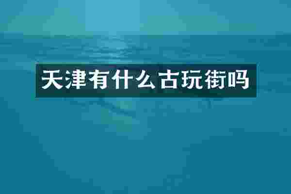 天津有什么古玩街吗