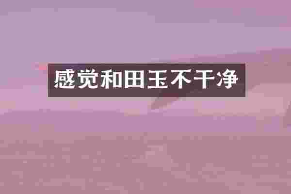 感觉和田玉不干净