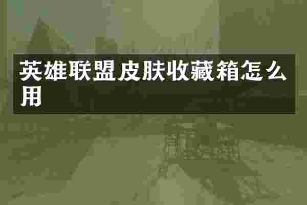 英雄联盟皮肤收藏箱怎么用