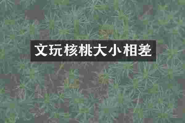 文玩核桃大小相差