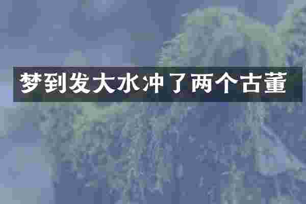 梦到发大水冲了两个古董