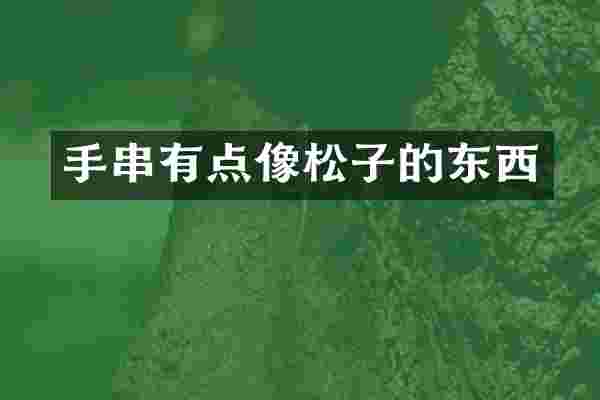 手串有点像松子的东西