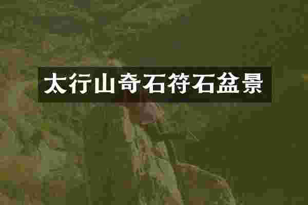太行山奇石符石盆景