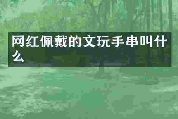 网红佩戴的文玩手串叫什么
