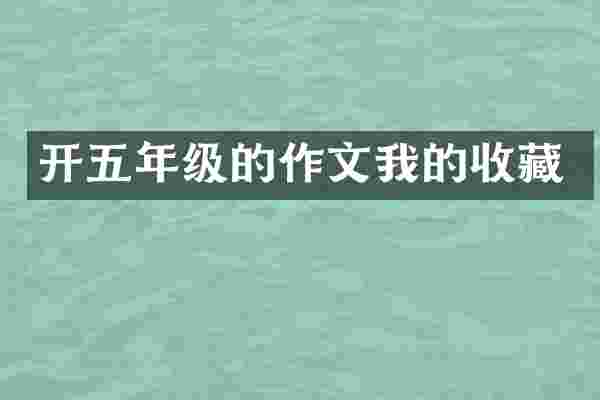 开五年级的作文我的收藏