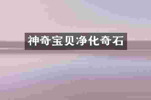 神奇宝贝净化奇石