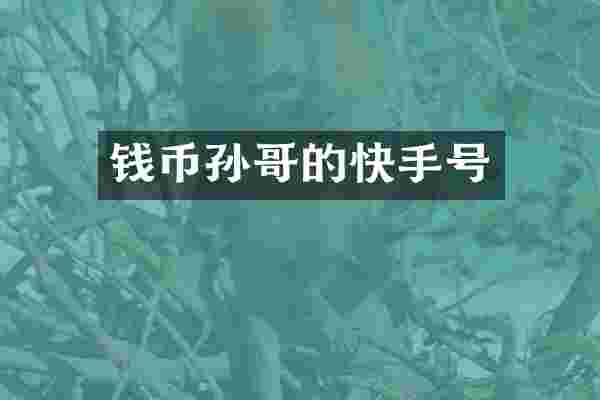 钱币孙哥的快手号