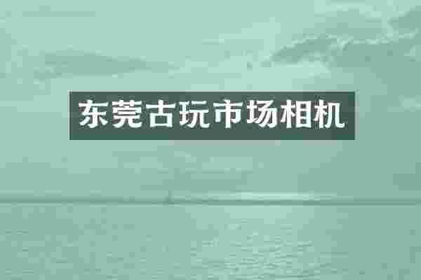 东莞古玩市场相机