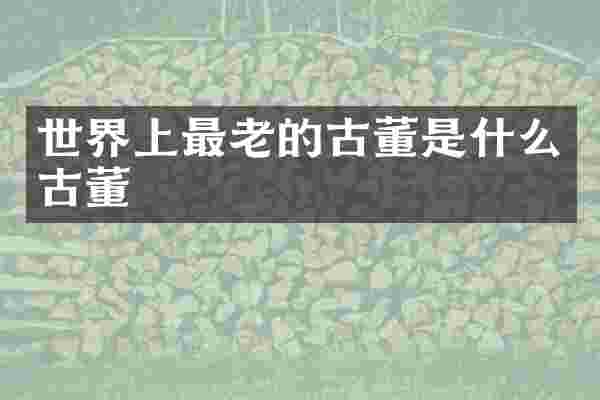 世界上最老的古董是什么古董