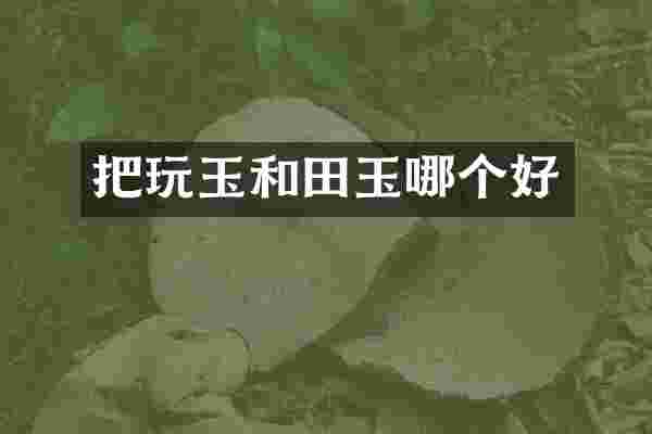 把玩玉和田玉哪个好