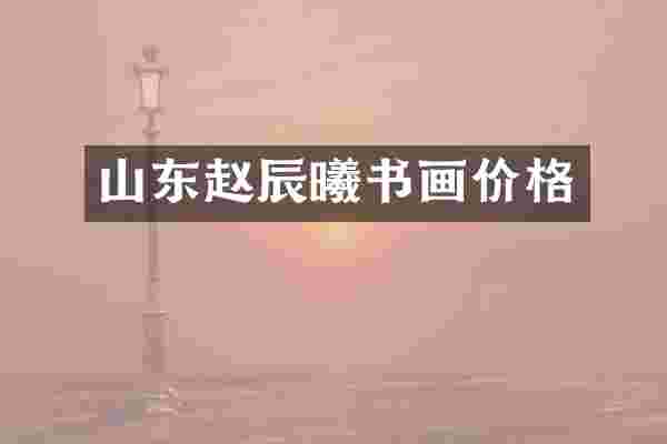 山东赵辰曦书画价格
