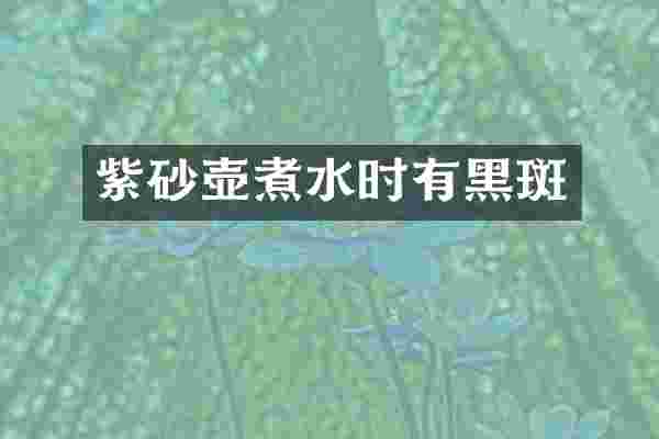 紫砂壶煮水时有黑斑