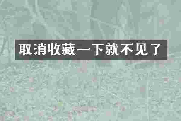 取消收藏一下就不见了