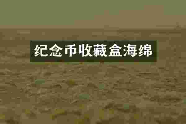 纪念币收藏盒海绵