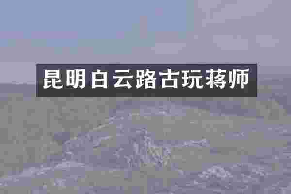 昆明白云路古玩蒋师
