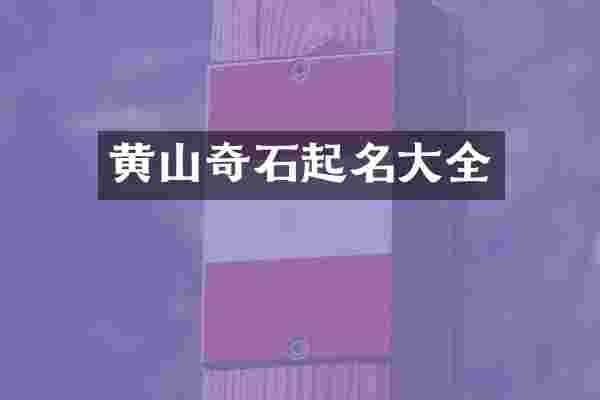 黄山奇石起名大全