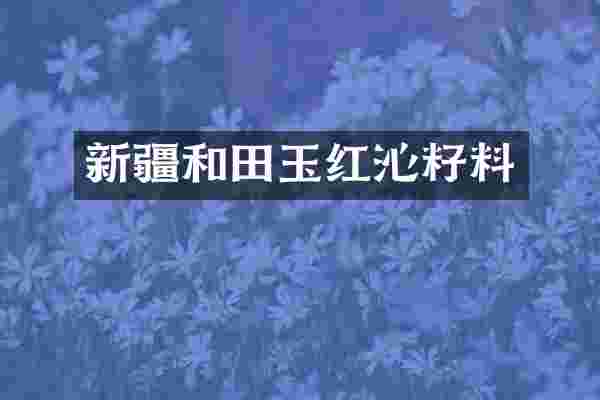 新疆和田玉红沁籽料