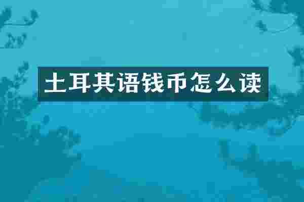 土耳其语钱币怎么读