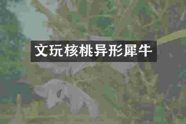 文玩核桃异形犀牛