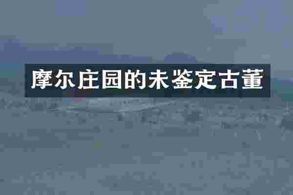 摩尔庄园的未鉴定古董