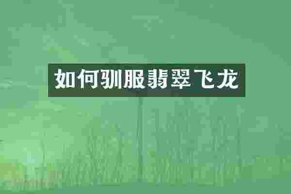 如何驯服翡翠飞龙