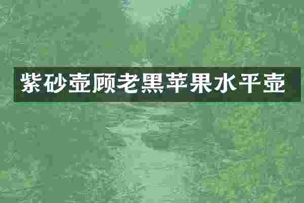 紫砂壶顾老黑苹果水平壶