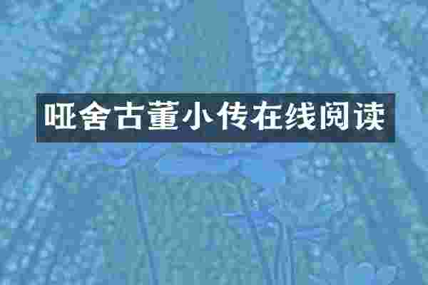 哑舍古董小传在线阅读