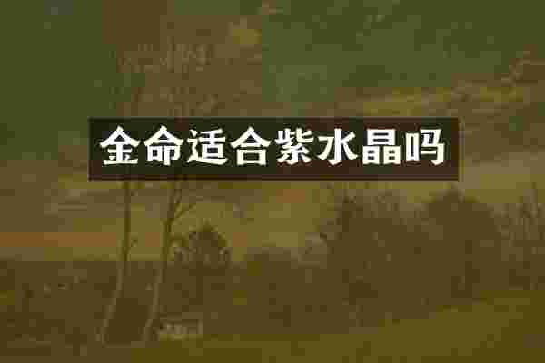 金命适合紫水晶吗