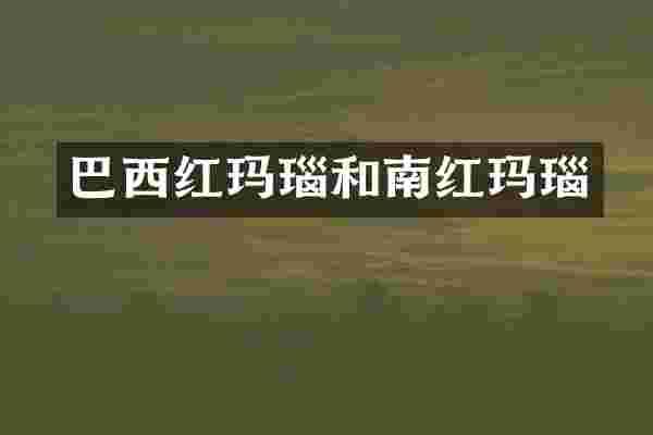 巴西红玛瑙和南红玛瑙