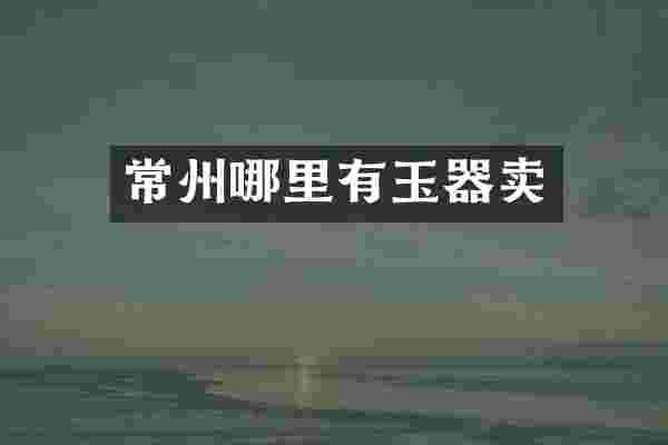 常州哪里有玉器卖