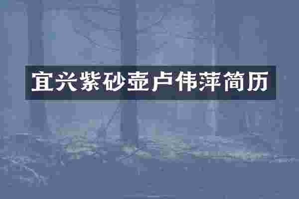 宜兴紫砂壶卢伟萍简历