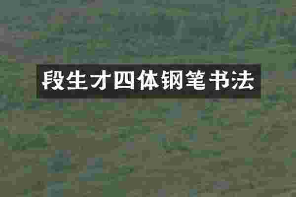 段生才四体钢笔书法