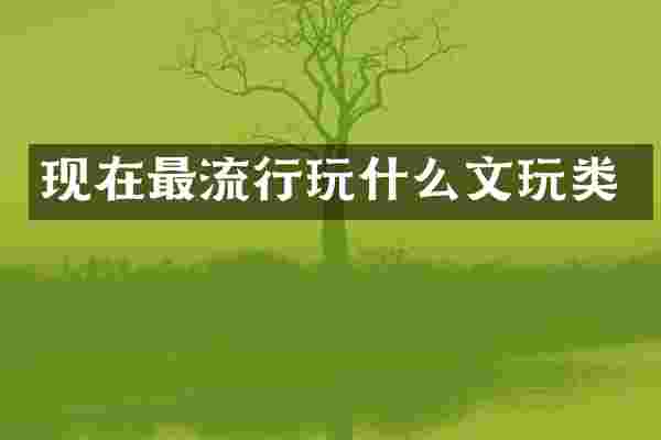 现在最流行玩什么文玩类