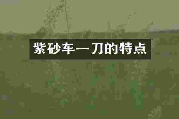 紫砂车一刀的特点