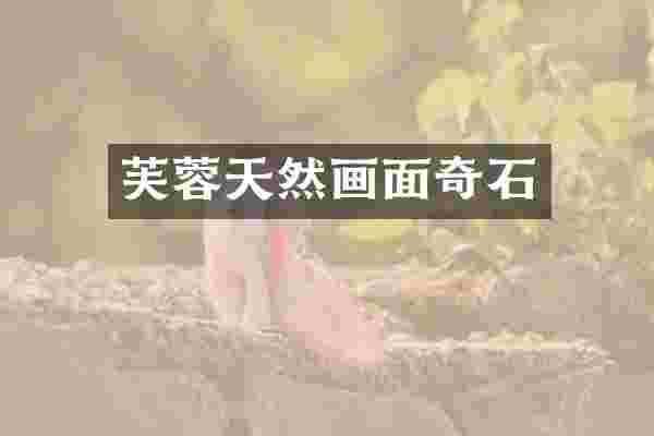 芙蓉天然画面奇石