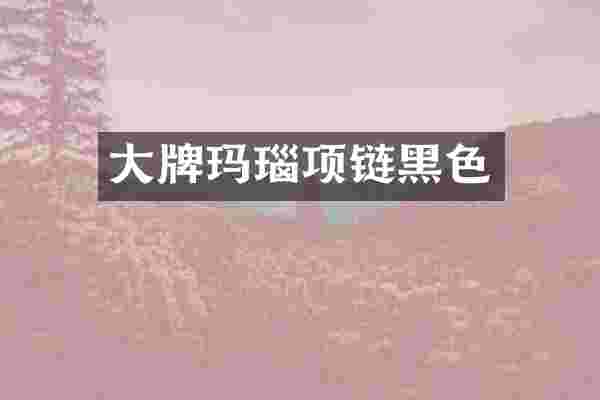 大牌玛瑙项链黑色
