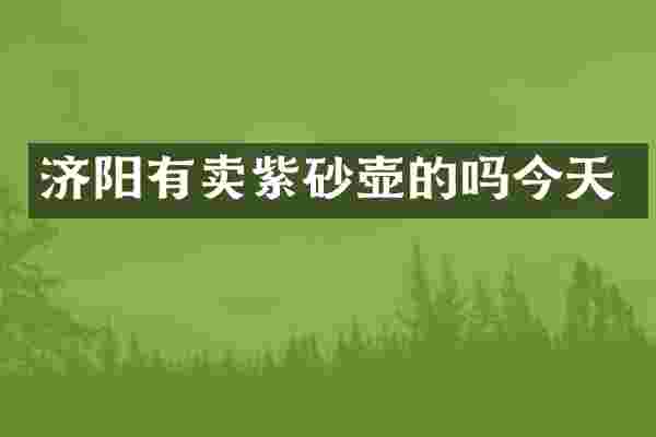 济阳有卖紫砂壶的吗今天