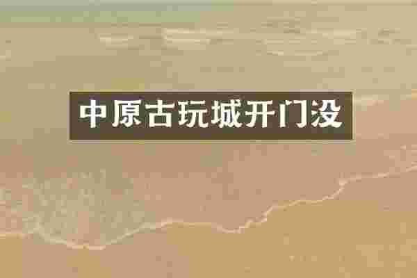 中原古玩城开门没