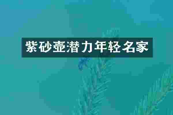 紫砂壶潜力年轻名家