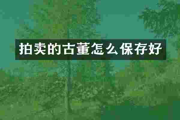 拍卖的古董怎么保存好