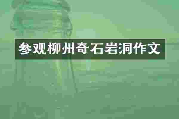 参观柳州奇石岩洞作文