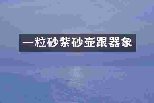 一粒砂紫砂壶跟器象