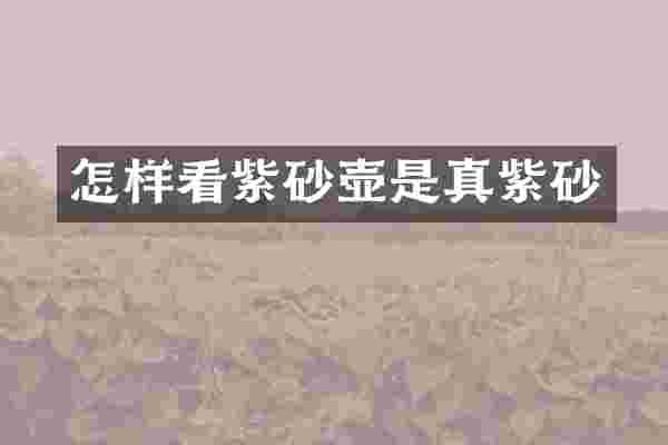 怎样看紫砂壶是真紫砂