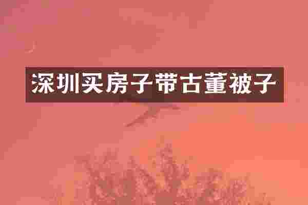 深圳买房子带古董被子