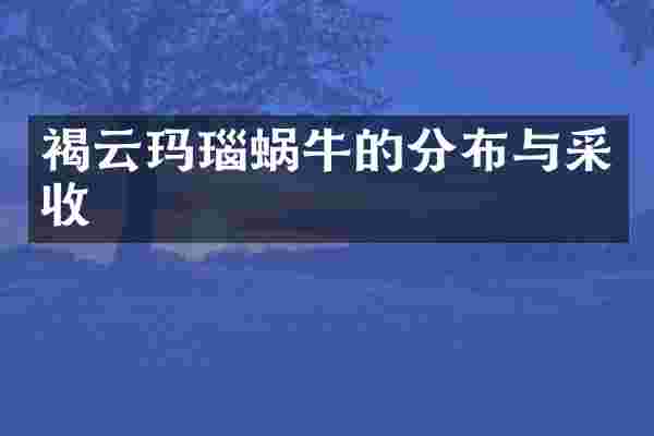 褐云玛瑙蜗牛的分布与采收
