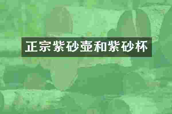正宗紫砂壶和紫砂杯