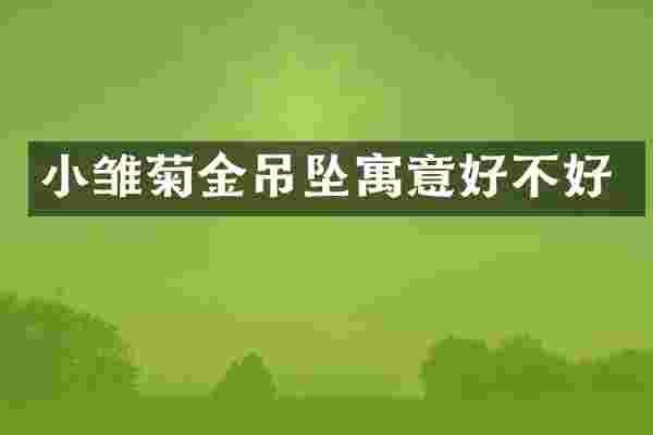 小雏菊金吊坠寓意好不好