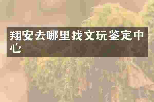 翔安去哪里找文玩鉴定中心