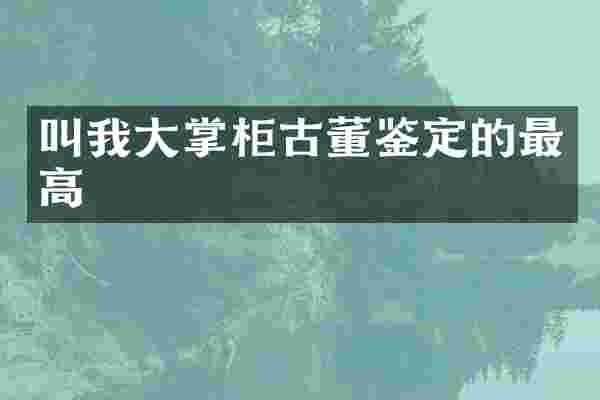 叫我大掌柜古董鉴定的最高