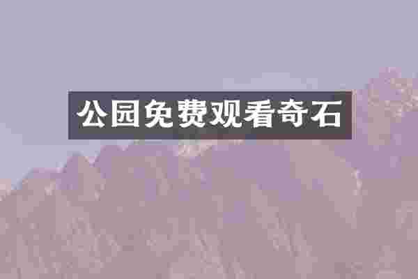 公园免费观看奇石